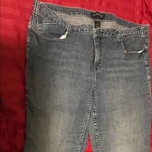 Lane Bryant Jeans